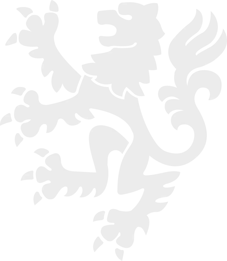 Lion Icon